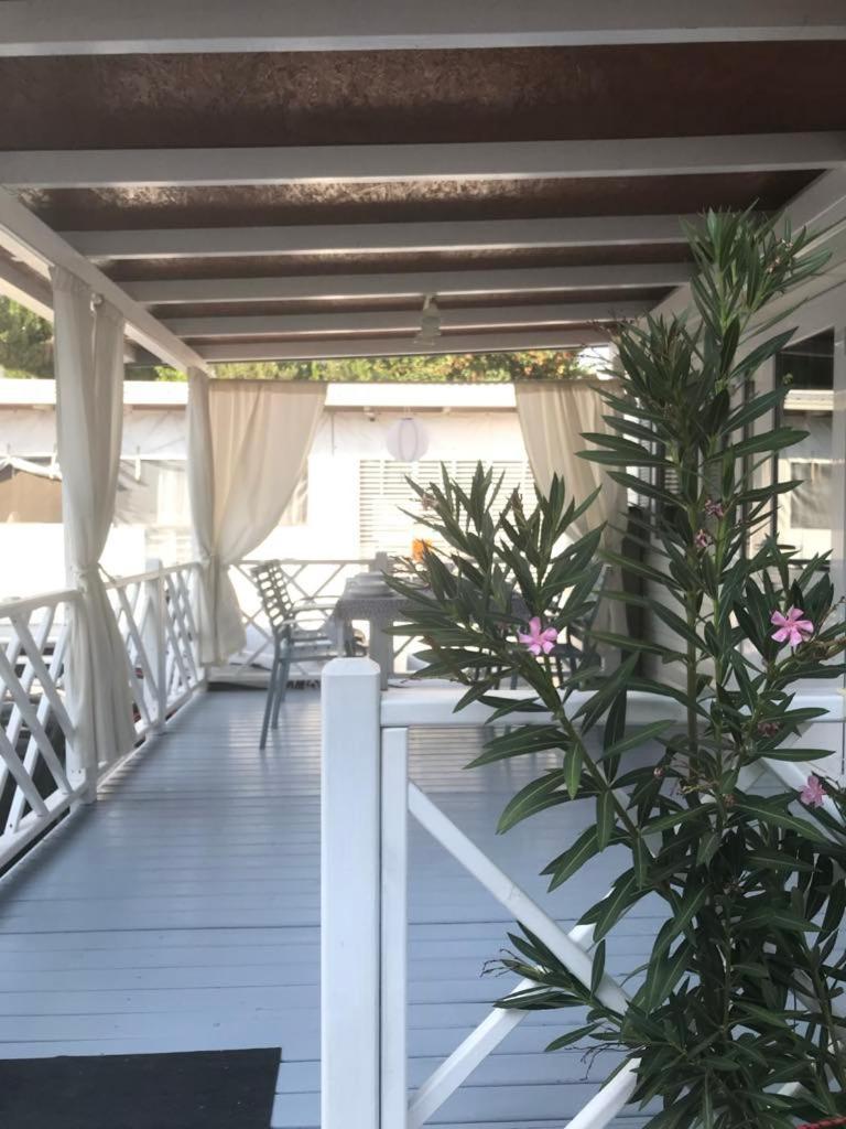 Apartman As Pirovac Ngoại thất bức ảnh